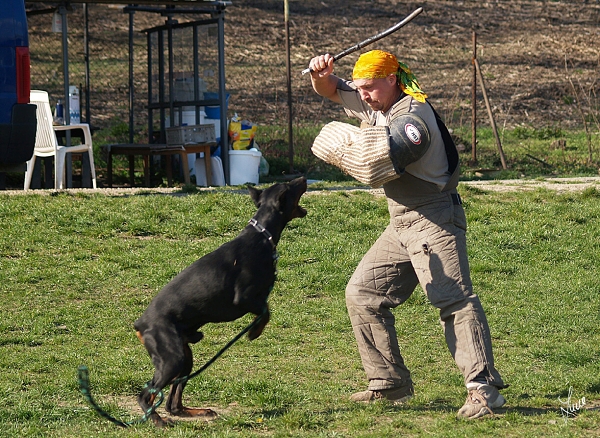 Training 4. 4. 2007